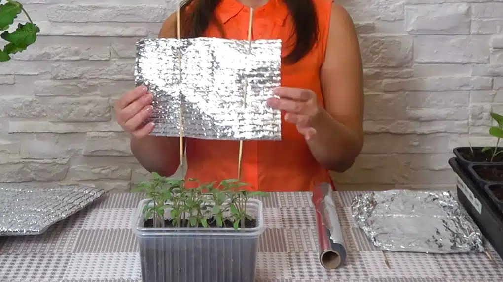 Lägga aluminiumfolie på blomkrukor: vad det är till för och varför det rekommenderas