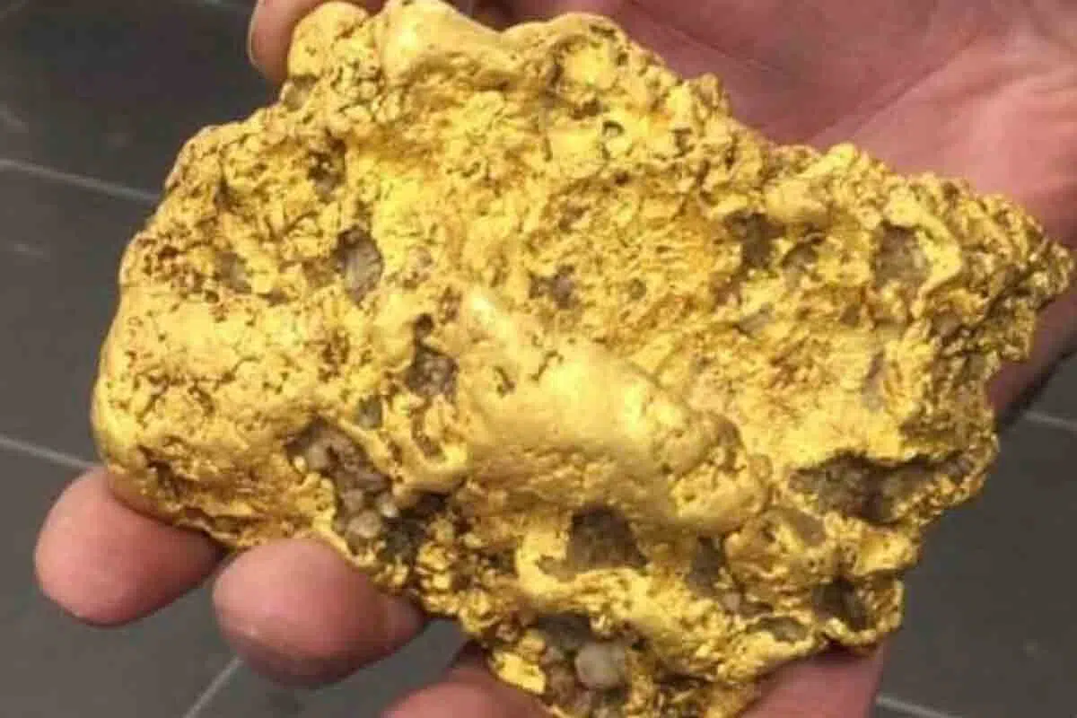 Århundradets fynd | Mynt och guldtackor grävs upp på en åker och kommer från ett enda land