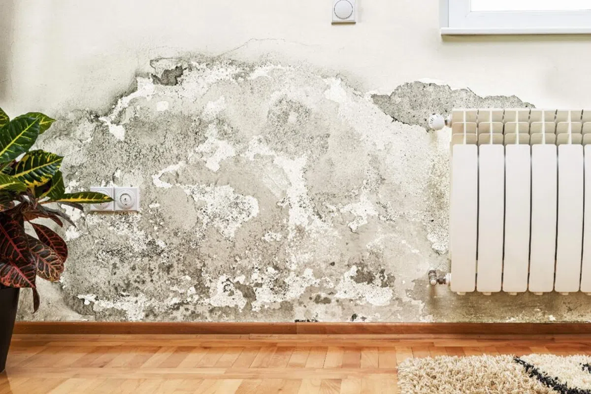 Arkitekter rekommenderar att man sätter aluminiumfolie på väggarna: ”Den här metoden fungerar”