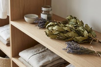 Klädesmalen i garderoben försvinner för gott med en enda naturlig ingrediens som du redan har hemma