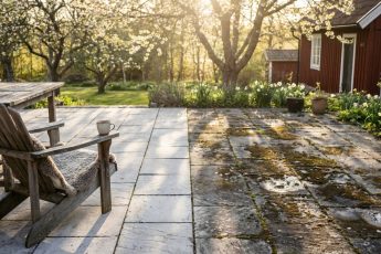 Hur man rengör en svartnad uteplats och trädgårdsgångar med nästan ingen ansträngning med enkla metoder som verkligen fungerar