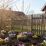 Plantera dessa fruktträd tidigt på våren – njut av hemodlad skörd i många år