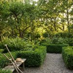 Plantera inte detta i trädgården. De lockar till sig fästingar som en magnet