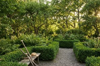 Plantera inte detta i trädgården. De lockar till sig fästingar som en magnet