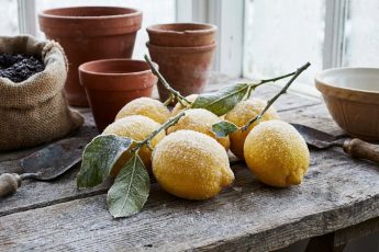 Frys citroner innan du använder dem: Varför det rekommenderas och vilka är fördelarna