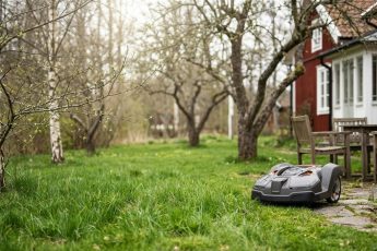 Exakt datum för att börja klippa gräsmattan efter vintern: enligt experterna