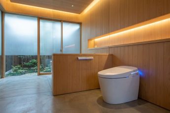 Varför japanerna sätter sig på toaletten med ansiktet framåt: Anledningen förvånar – men det finns en logik