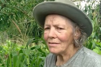 Historien om två systrar på 72 och 73 år som lever ensamma i en hållbar skog med medicinalväxter – image 1