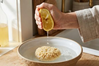 Mer än bara mikrovågsugnen: Den ofelbara metoden för att desinficera kökssvampar – image 1